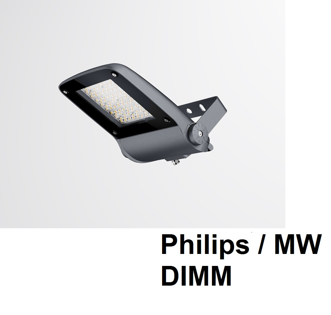 Влагозащищенный прожектор IP67 с диммируемым источником тока Philips / MW DIMM светодиодный накладной FALDI VIKING-S75P