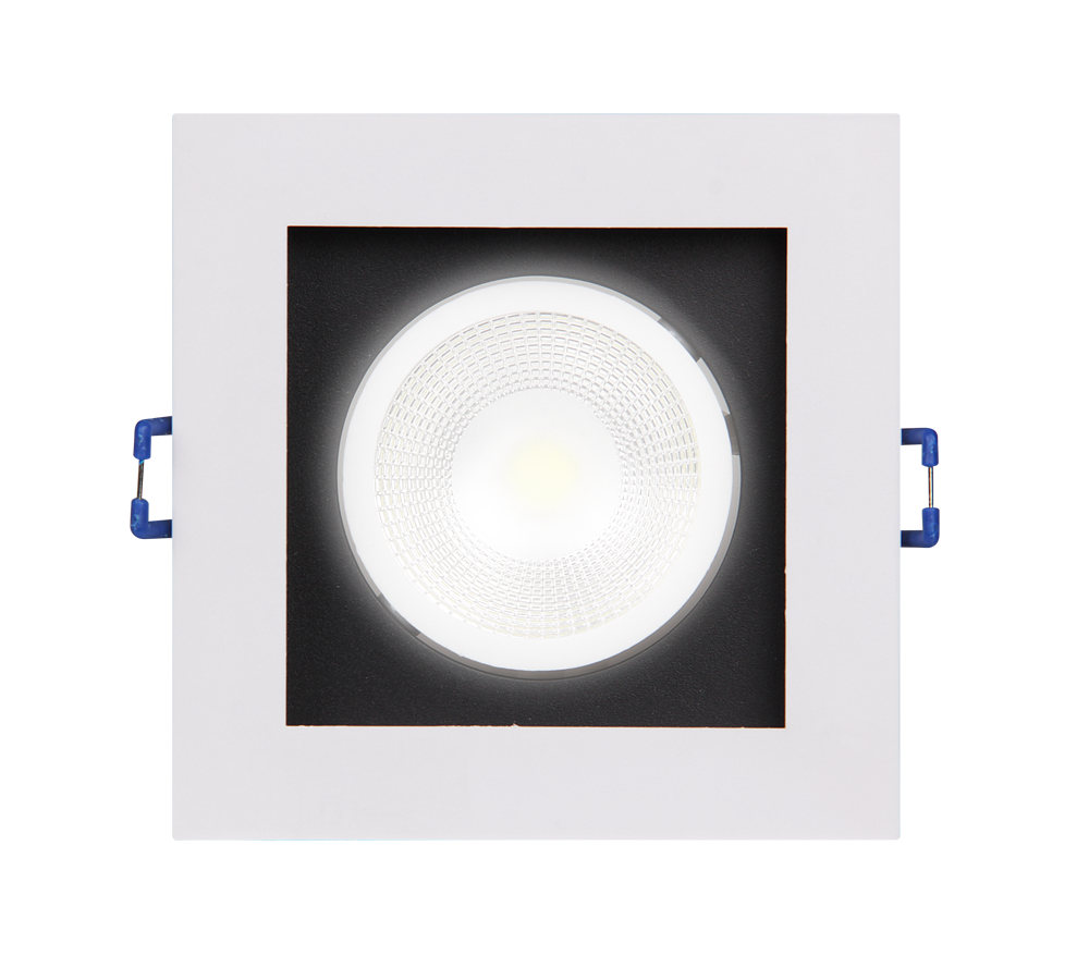 Светильник LED торговый карданный Jazzway PSP-S211 1x8w 4000K 55° White IP40