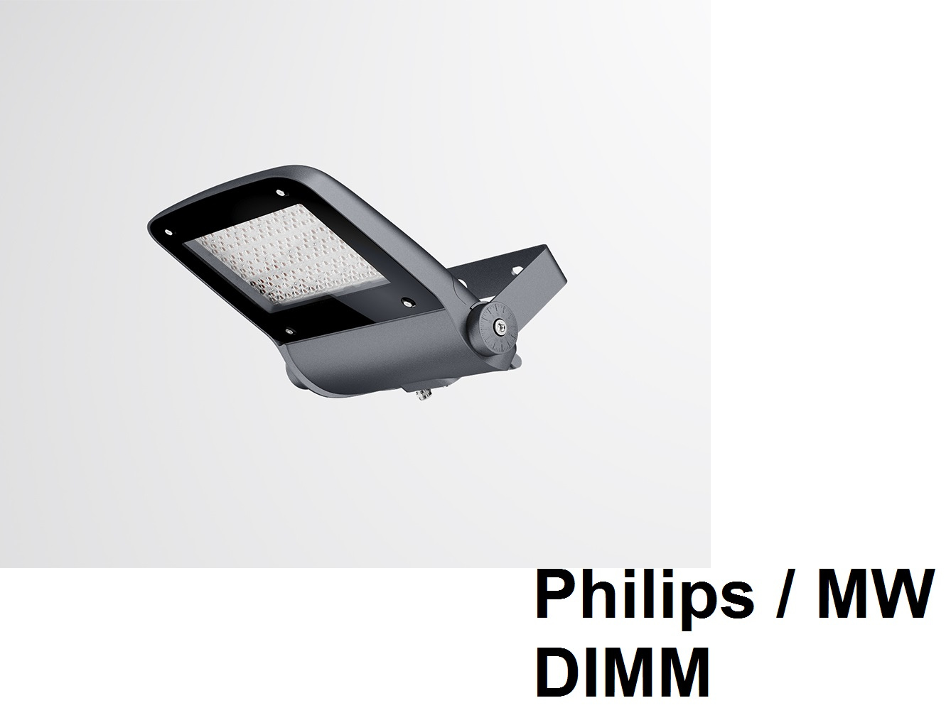 Уличный прожектор пылевлагозащищенный с диммируемым источником тока Philips / MW DIMM FALDI VIKING-M160P